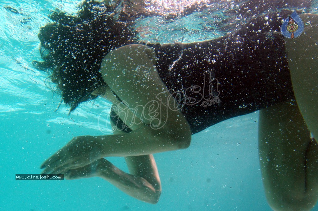 Keerthi Chawla Spicy Stills - 62 / 195 photos