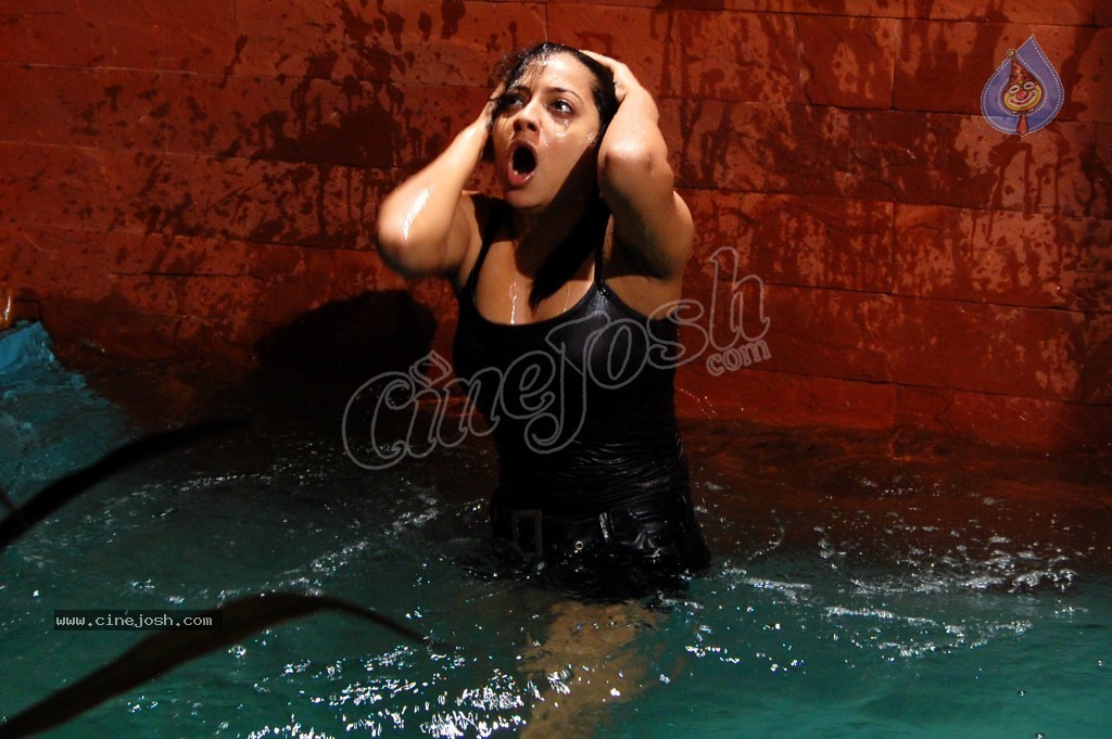 Keerthi Chawla Spicy Stills - 68 / 195 photos