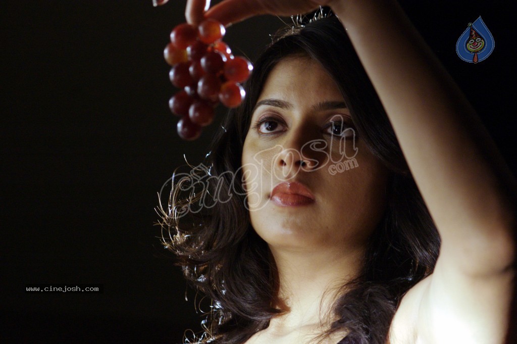 Keerthi Chawla Spicy Stills - 98 / 195 photos