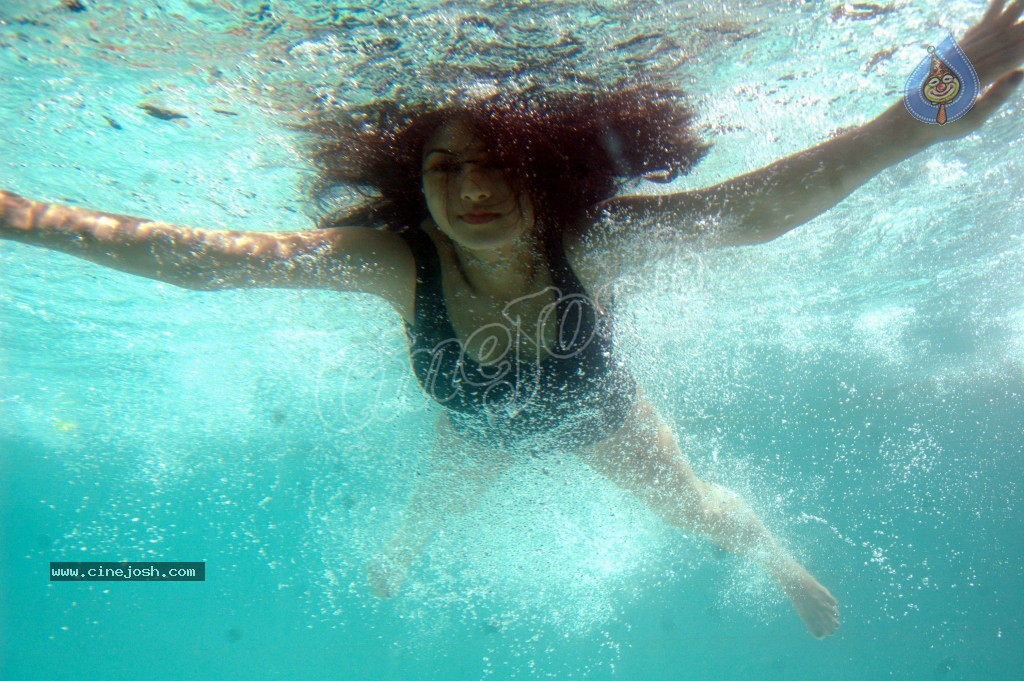 Keerthi Chawla Spicy Stills - 102 / 195 photos