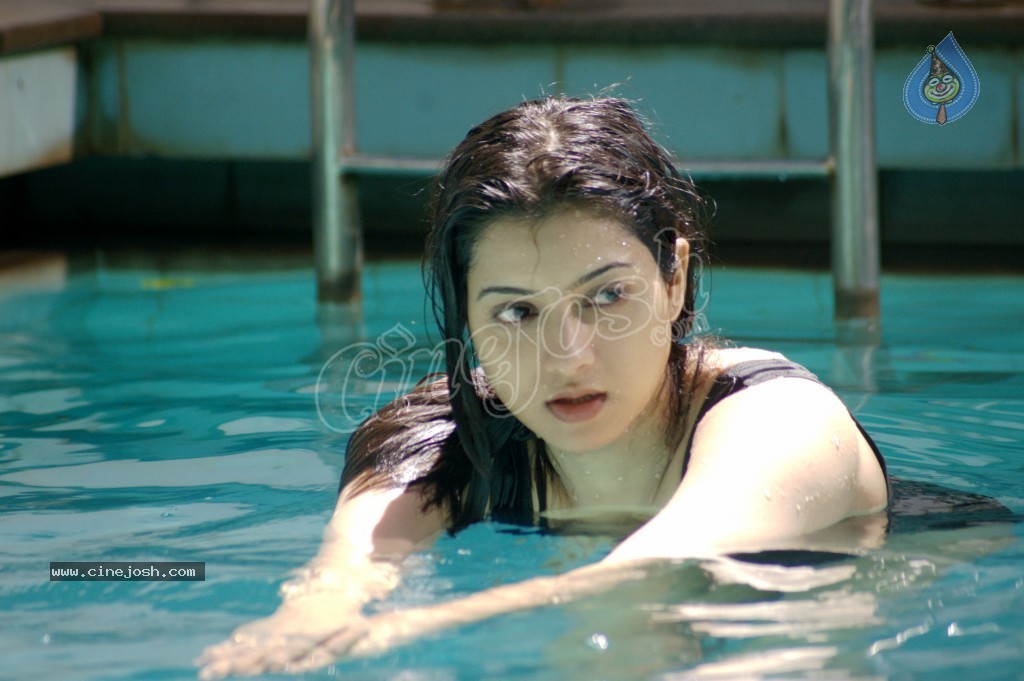 Keerthi Chawla Spicy Stills - 146 / 195 photos