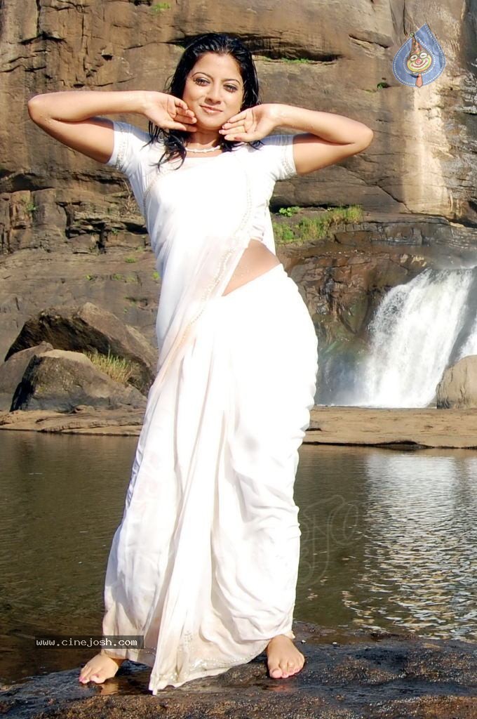 Keerthi Chawla Spicy Stills - 61 / 150 photos