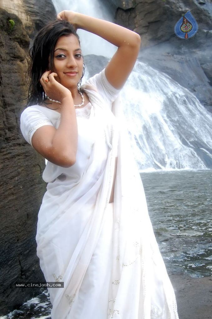 Keerthi Chawla Spicy Stills - 68 / 150 photos