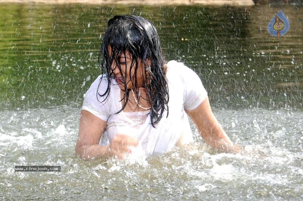 Keerthi Chawla Spicy Stills - 88 / 150 photos