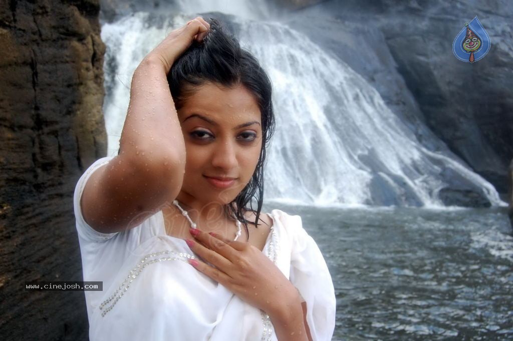 Keerthi Chawla Spicy Stills - 118 / 150 photos
