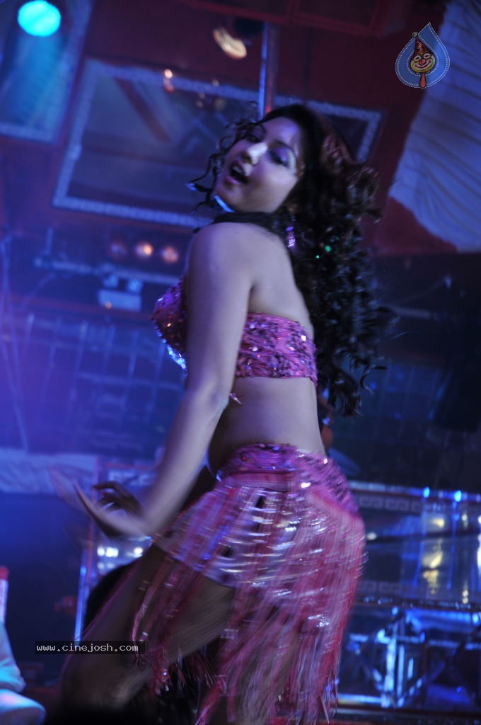 Komal Jha Hot Photos - 11 / 40 photos