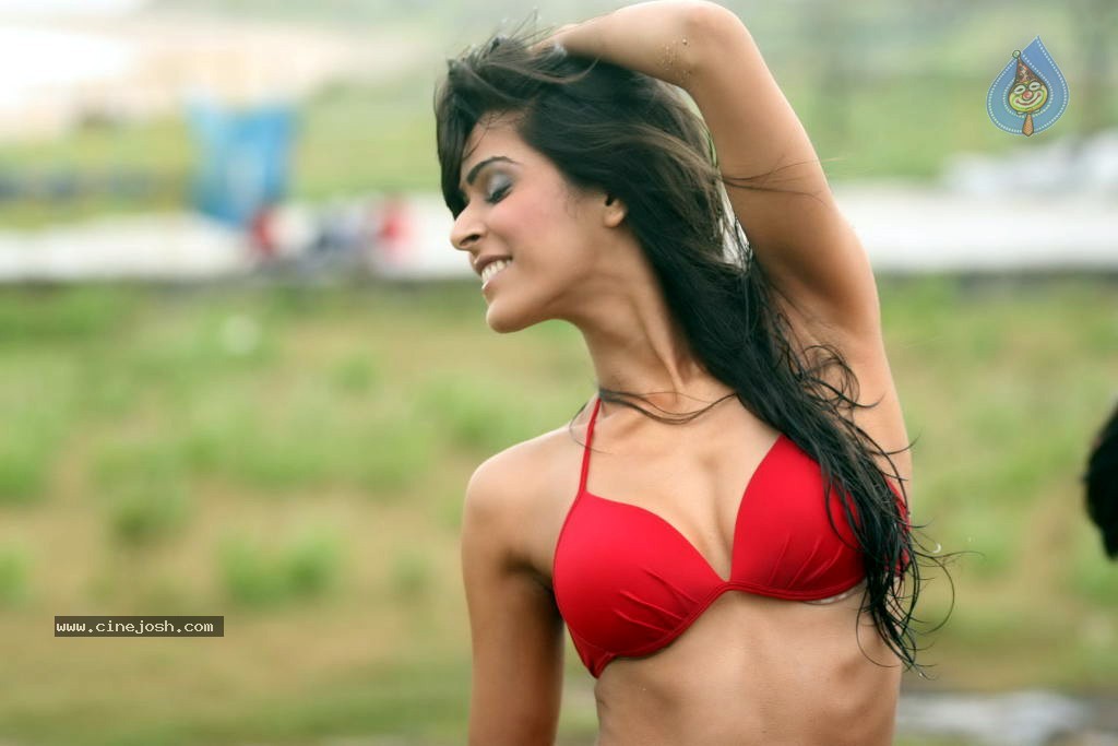 Lethal Commission Movie Hot Bikini Photoshoot - 66 / 67 photos