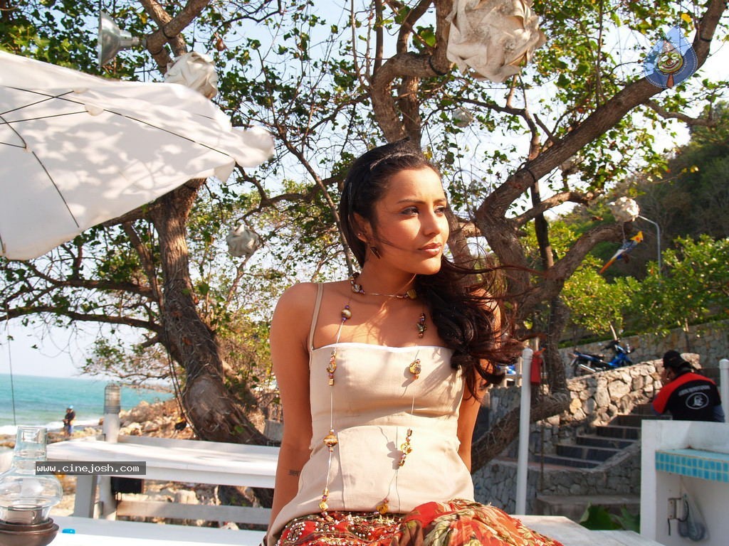 Live Movie Hot Stills - 38 / 132 photos