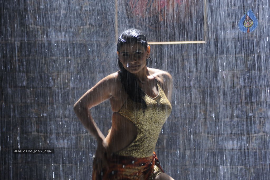 Madhu Sharma Spicy Photos - 8 / 30 photos