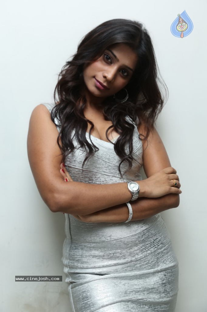 Midhuna Hot Stills - 42 / 112 photos