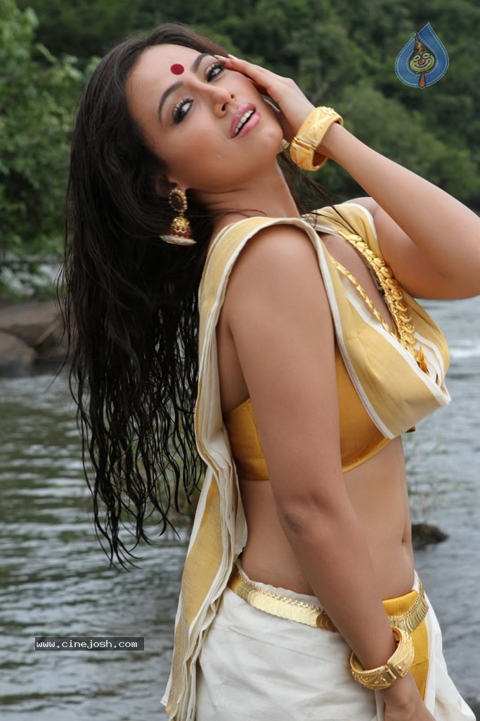 Nadigayin Diary Tamil Movie Hot Stills - 5 / 41 photos