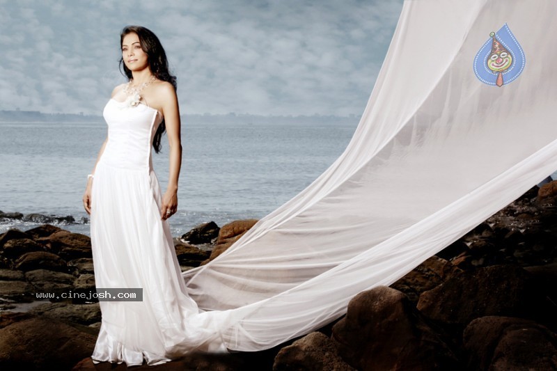 Nikita Rawal Hot Photo Shoot - 17 / 20 photos