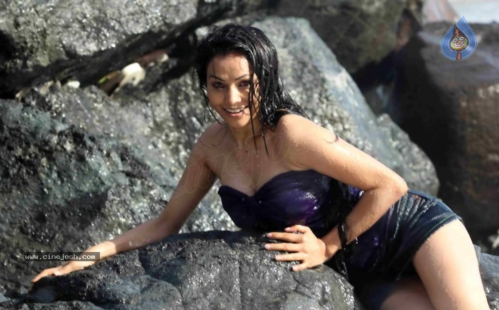 Nikita Rawal Spicy Stills - 14 / 38 photos