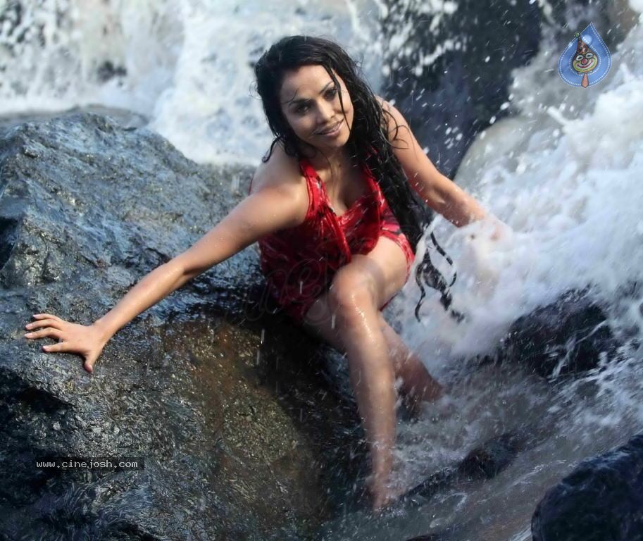 Nikita Rawal Spicy Stills - 15 / 38 photos