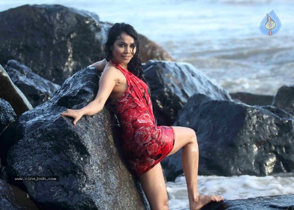 Nikita Rawal Spicy Stills - 23 / 38 photos