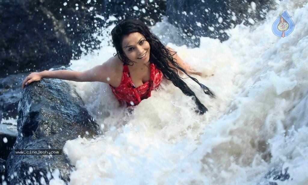 Nikita Rawal Spicy Stills - 27 / 38 photos