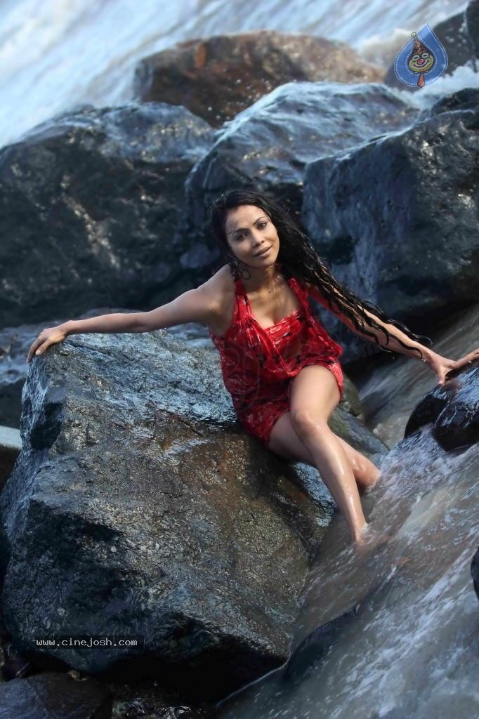 Nikita Rawal Spicy Stills - 34 / 38 photos