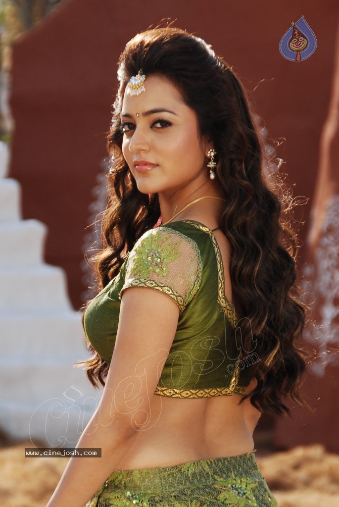 Nisha Agarwal Spicy Pics - 65 / 120 photos