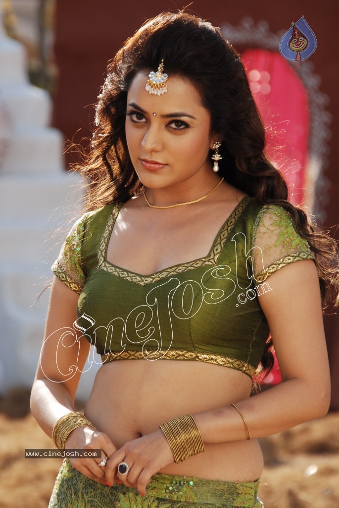 Nisha Agarwal Spicy Pics - 66 / 120 photos