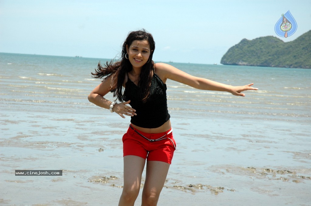 Nisha Kothari New Hot Stills - 14 / 57 photos