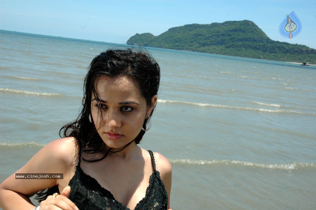 Nisha Kothari New Hot Stills - 25 / 57 photos