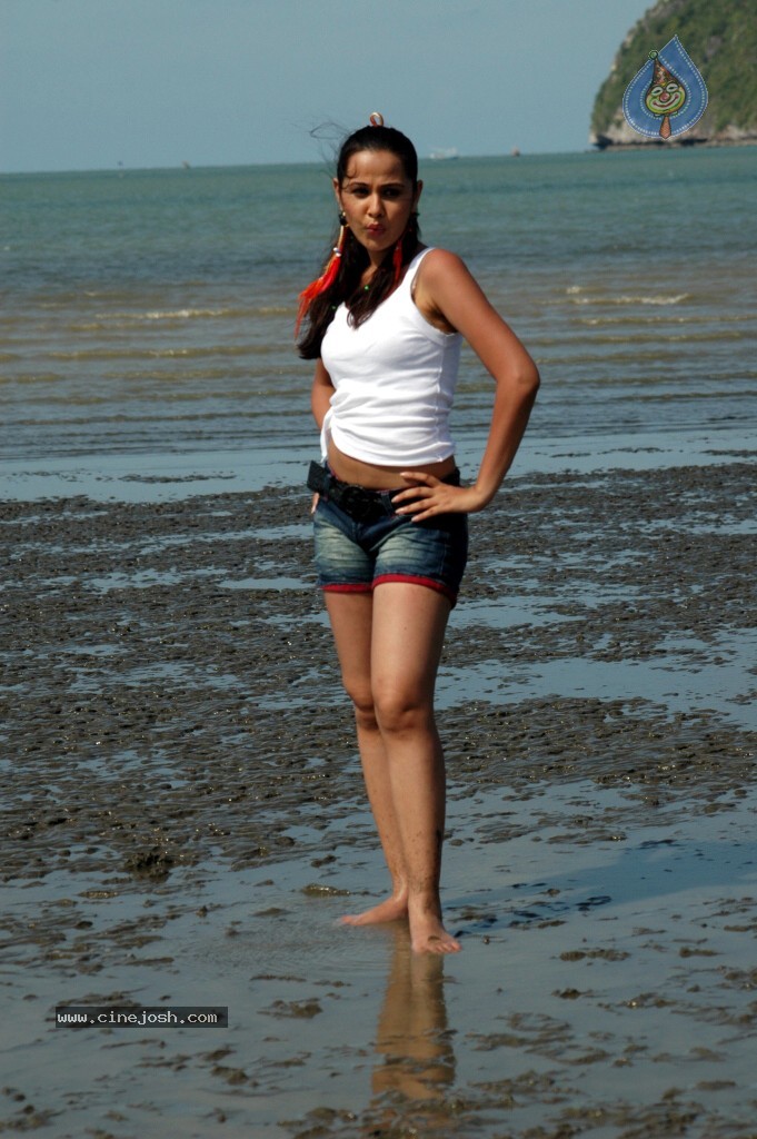 Nisha Kothari New Hot Stills - 51 / 57 photos