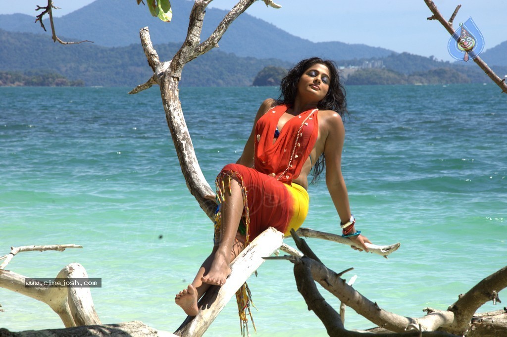 Priyamani Hot Photos - 61 / 82 photos