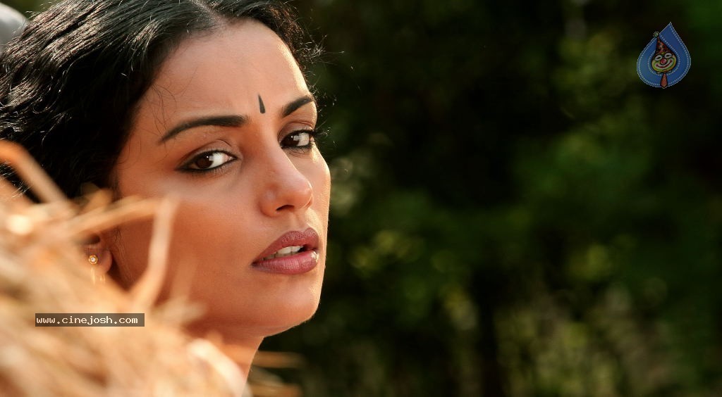 Rathinirvedam Movie Spicy Stills - 27 / 37 photos