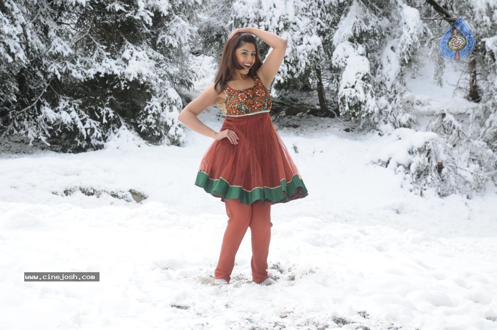 Richa Gangopadhyay Spicy Gallery - 33 / 51 photos