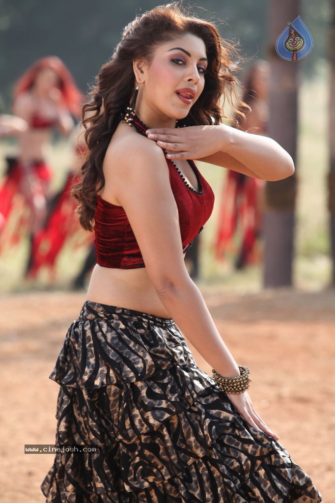 Richa Gangopadhyay Spicy Photos - 44 / 76 photos