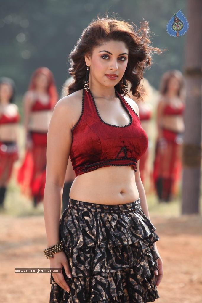 Richa Gangopadhyay Spicy Photos - 47 / 76 photos
