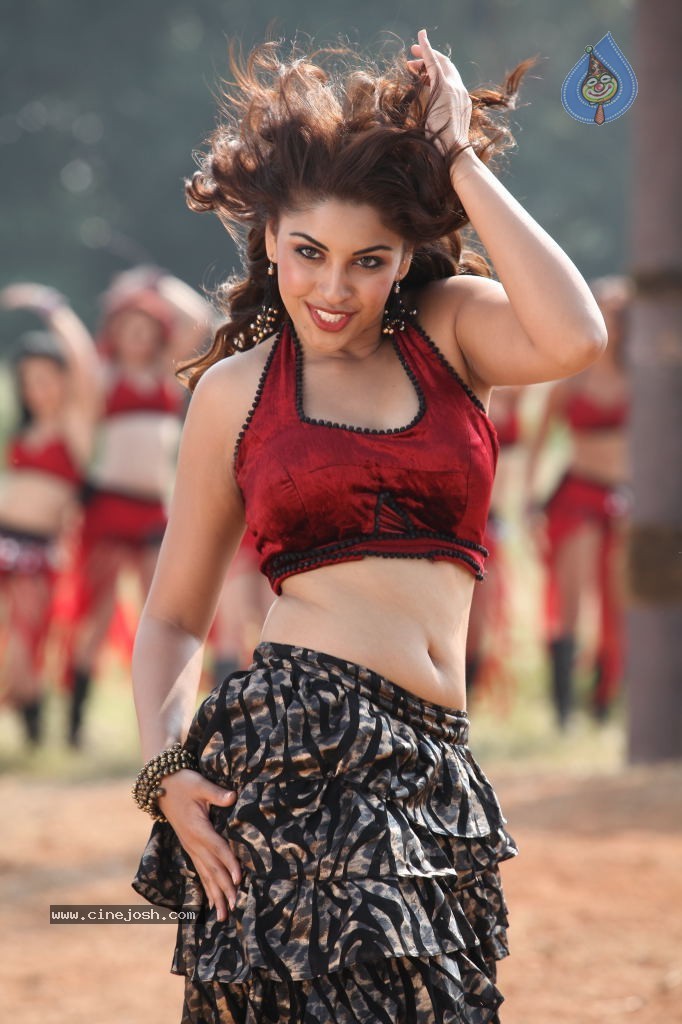 Richa Gangopadhyay Spicy Photos - 57 / 76 photos