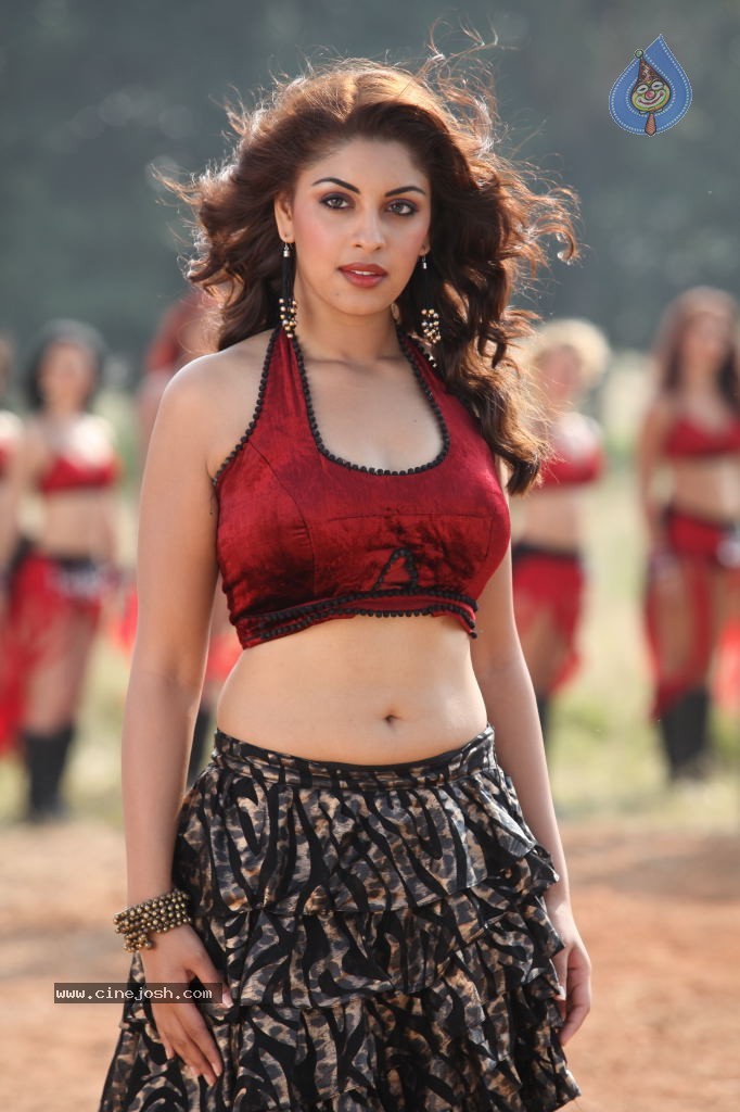 Richa Gangopadhyay Spicy Photos - 76 / 76 photos