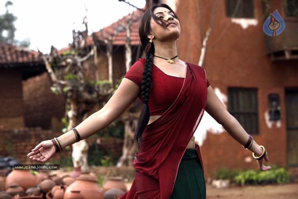 Richa Gangopadhyay Spicy Pics - 43 / 65 photos