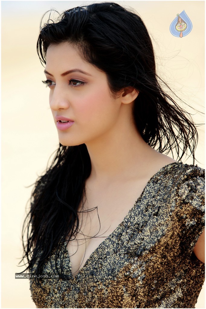 Richa Panai Hot Stills - 14 / 32 photos