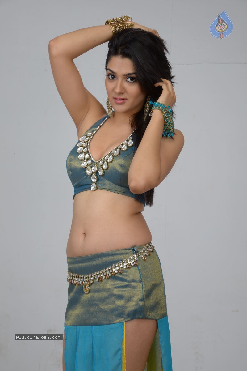 Sakshi Choudary Hot Photo Shoot - 12 / 99 photos