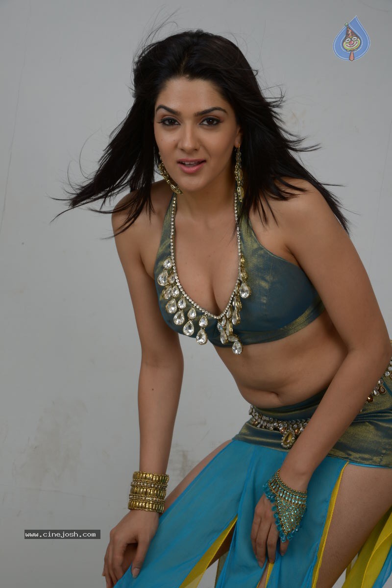 Sakshi Choudary Hot Photo Shoot - 37 / 99 photos