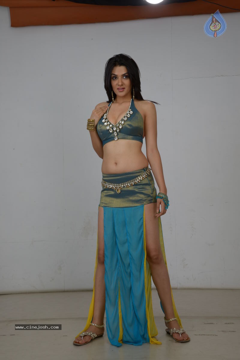 Sakshi Choudary Hot Photo Shoot - 61 / 99 photos