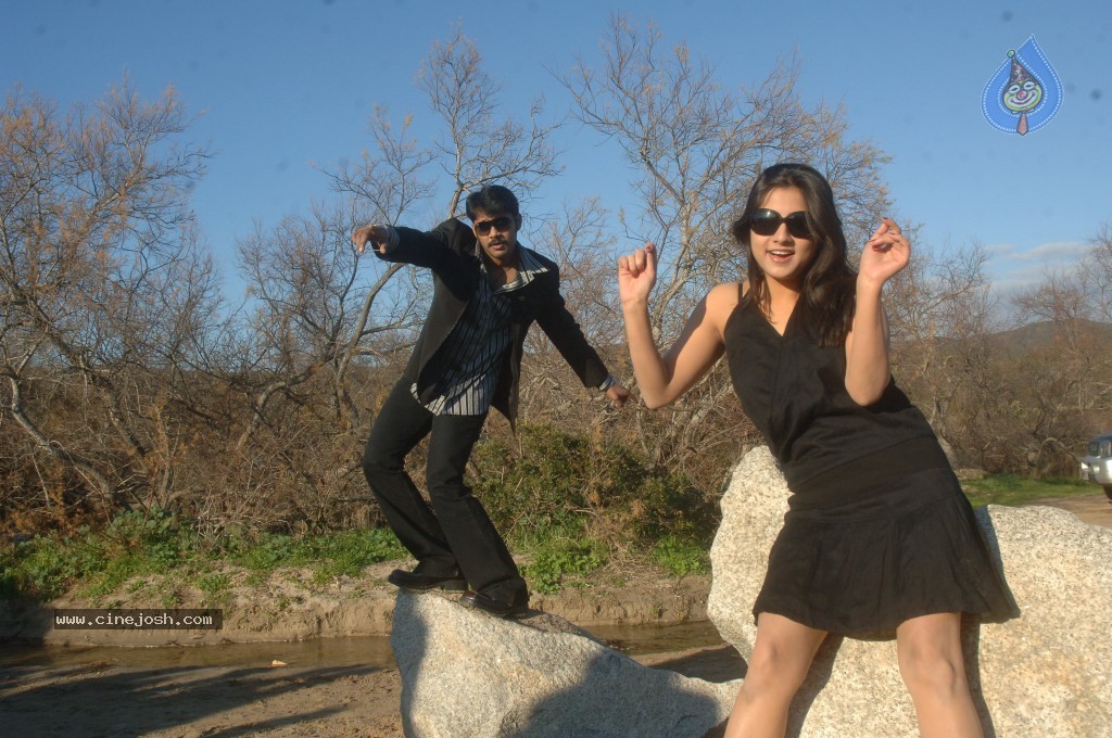 Scam Movie Hot gallery - 85 / 89 photos