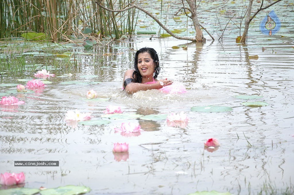 Senkadu Tamil Movie Spicy Stills - 36 / 97 photos