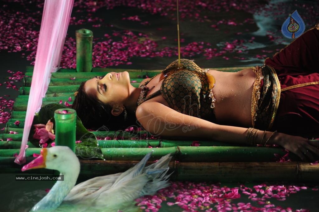 Sheena Shahabadi Hot Photos - 3 / 137 photos