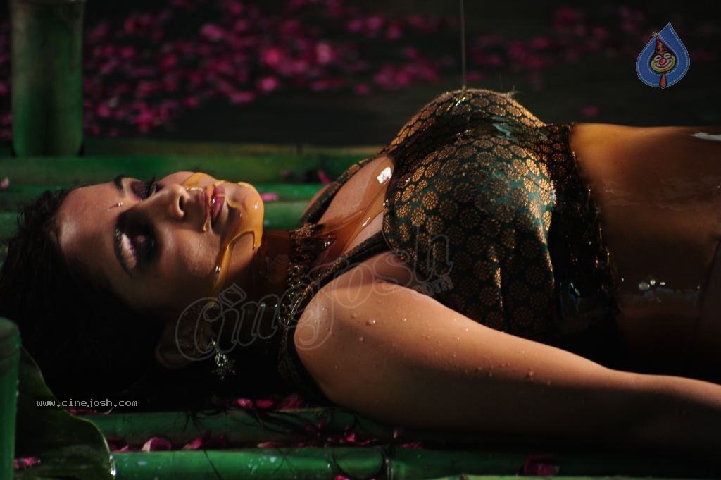 Sheena Shahabadi Hot Photos - 77 / 137 photos