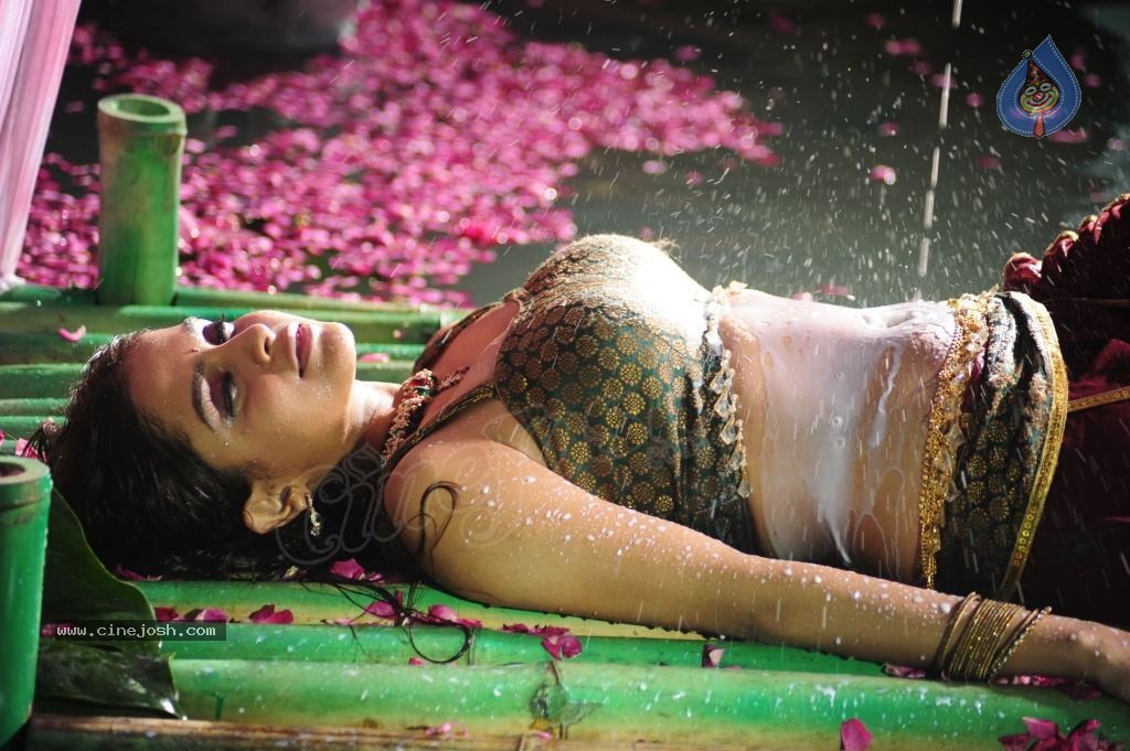 Sheena Shahabadi Hot Photos - 82 / 137 photos