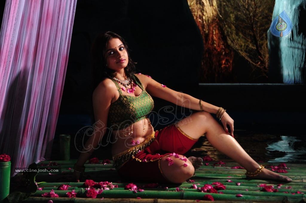 Sheena Shahabadi Hot Photos - 103 / 137 photos