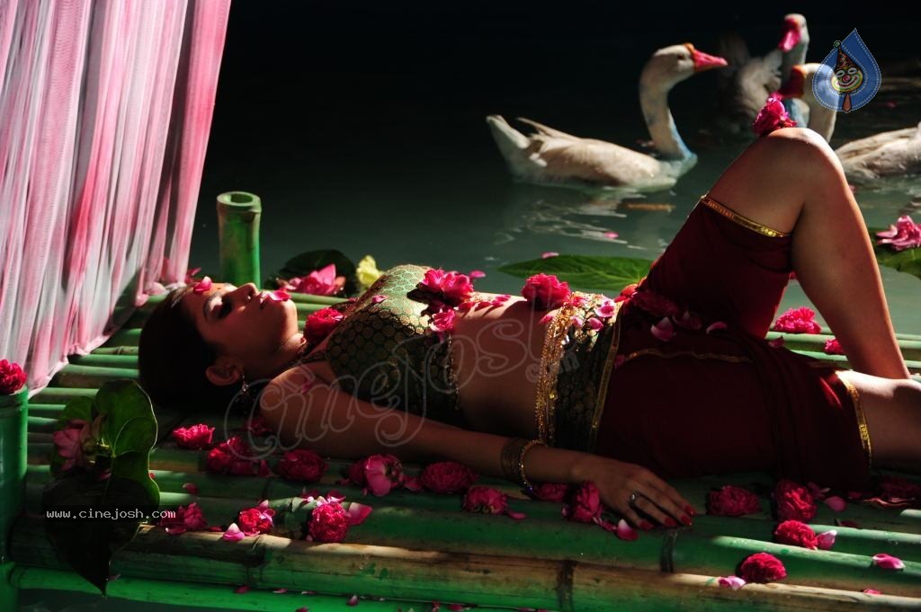 Sheena Shahabadi Hot Photos - 111 / 137 photos