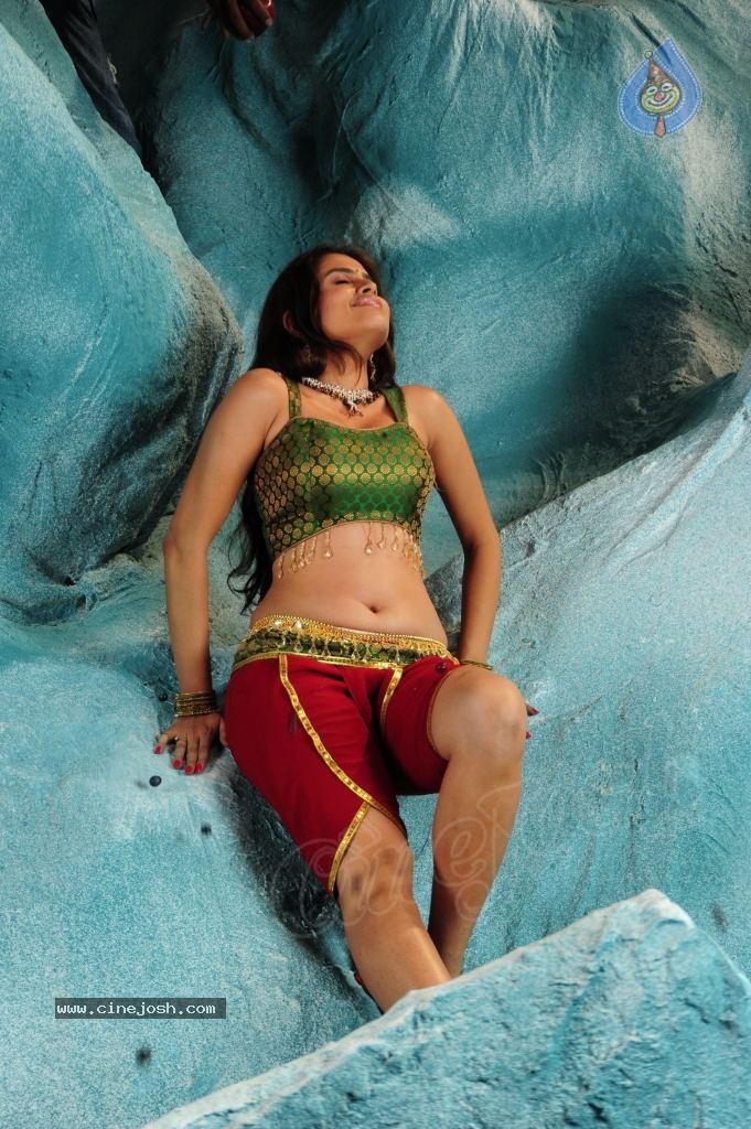 Sheena Shahabadi Hot Photos - 113 / 137 photos