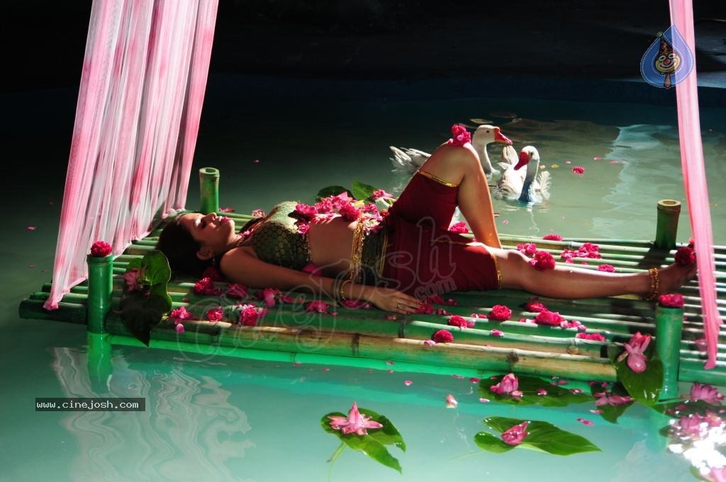 Sheena Shahabadi Hot Photos - 129 / 137 photos