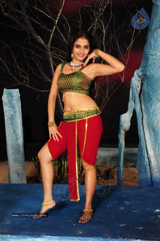 Sheena Shahabadi Hot Photos - 130 / 137 photos