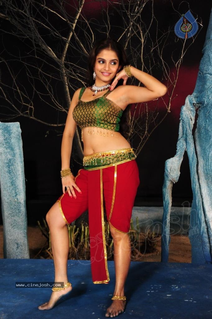 Sheena Shahabadi Hot Photos - 132 / 137 photos
