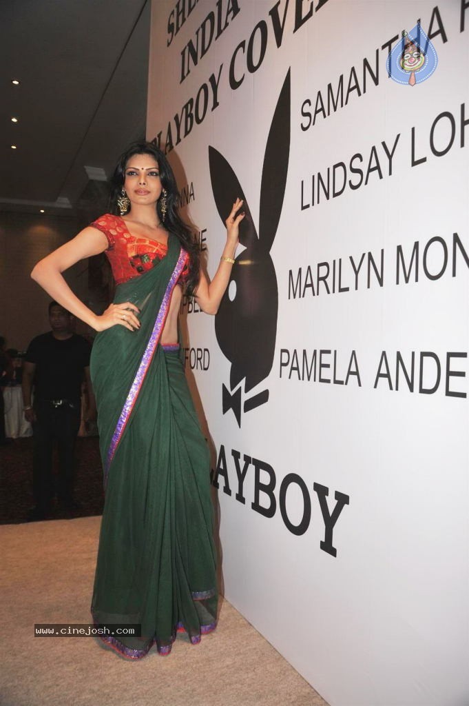 Sherlyn Chopra Hot Stills - 24 / 30 photos